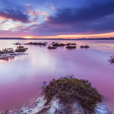 Your Spain R171a 또레비에하