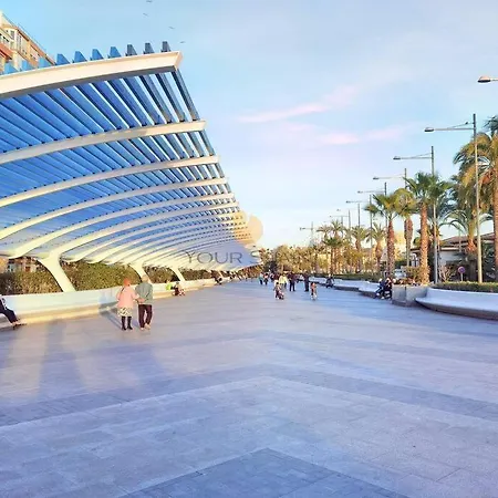 Your Spain R171a Torrevieja